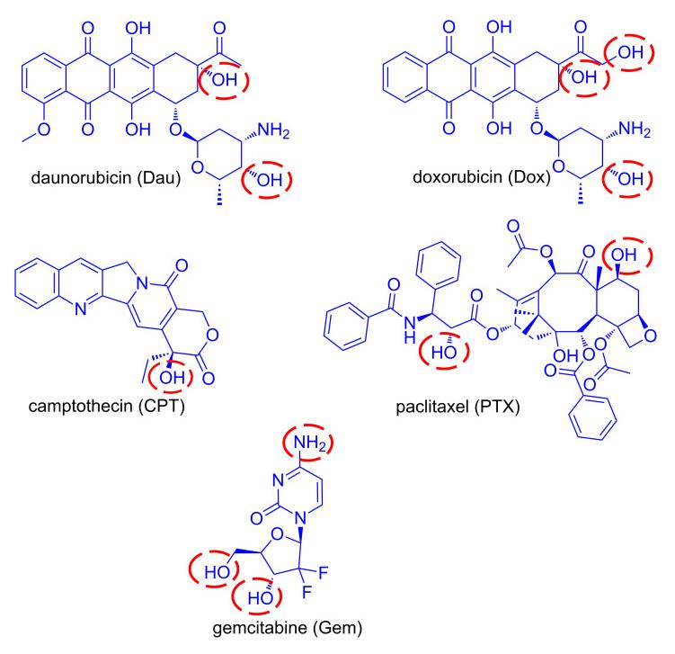 PDC-Cytotoxins