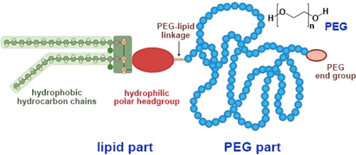 peg-lipid