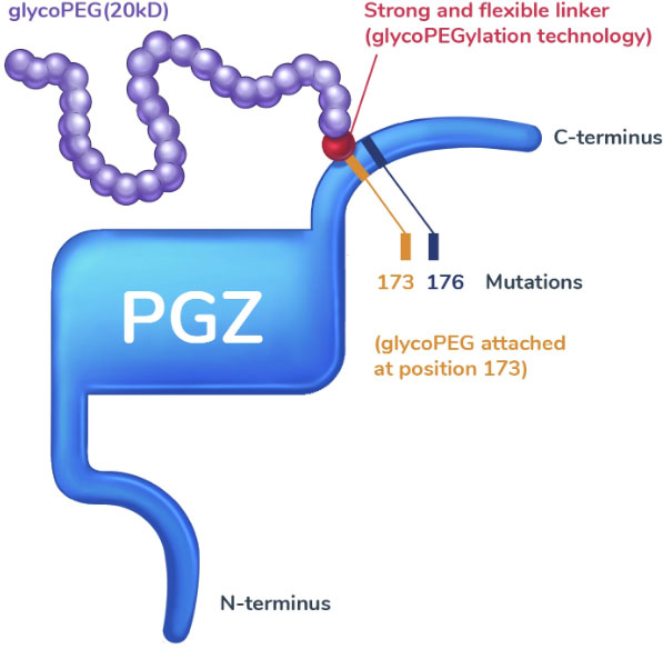 Pegozafermin