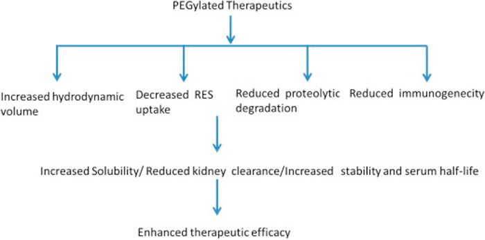 Significance of PEGylated therapeutics