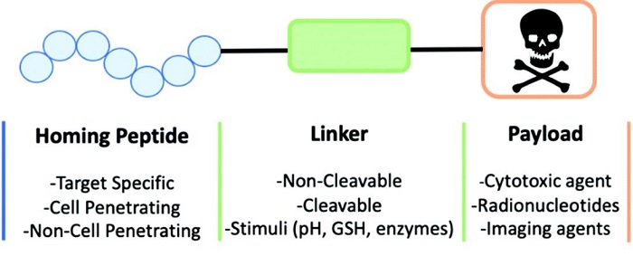 peptide-drug-conjugates