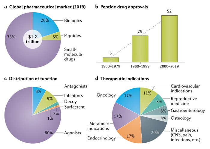 The peptide drug market