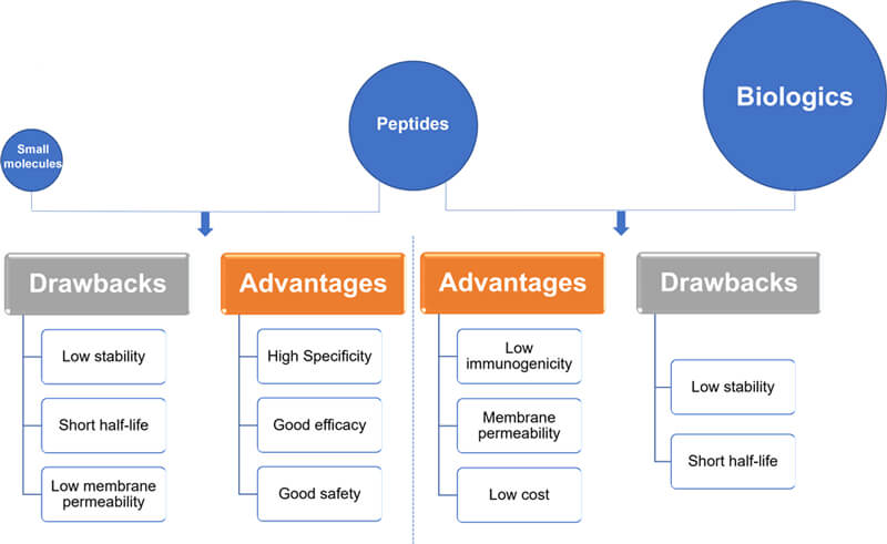 Peptides versus small molecules and biologics. Comparison of advantages and drawbacks between peptides and small molecules or biologics