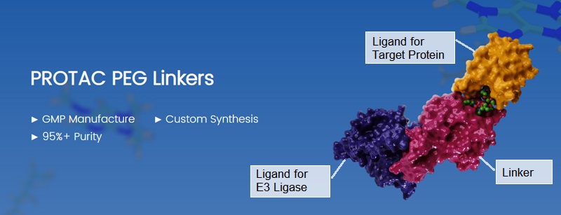 PROTAC-linker