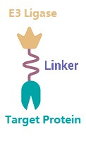 PROTAC Linkers