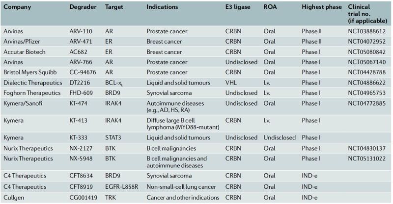 PROTAC-targeted protein