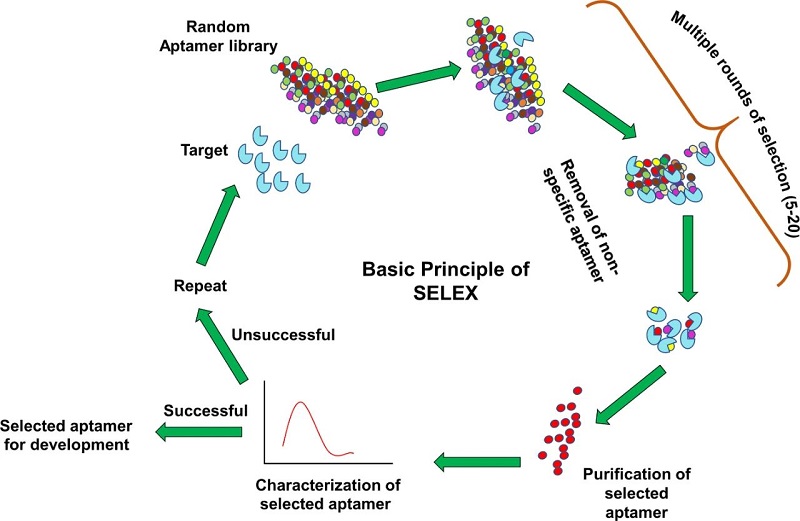 SELEX production process