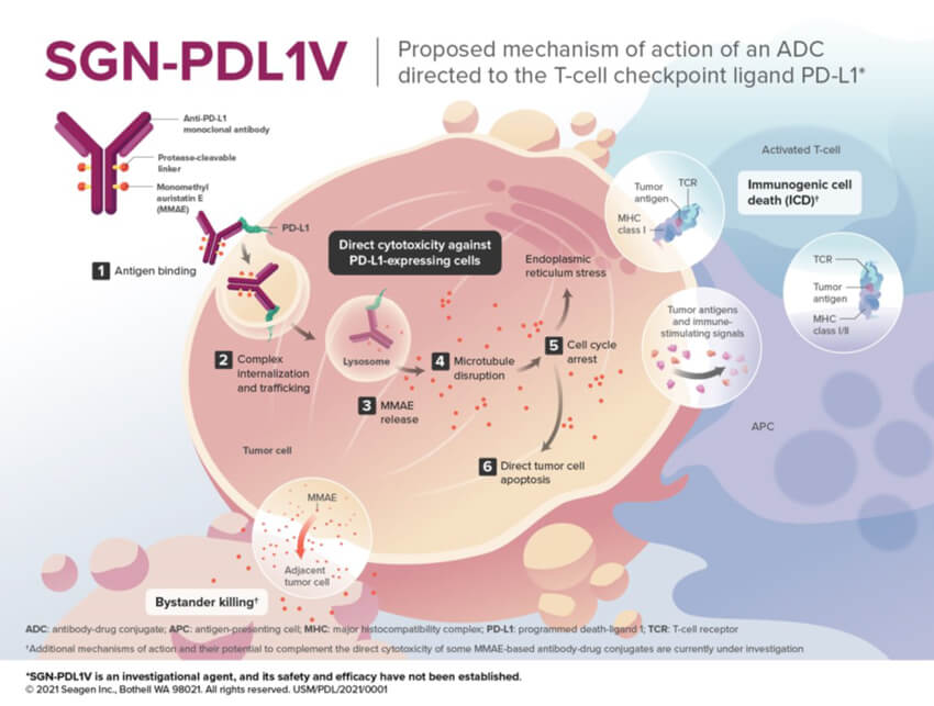 SGN-PDL1V