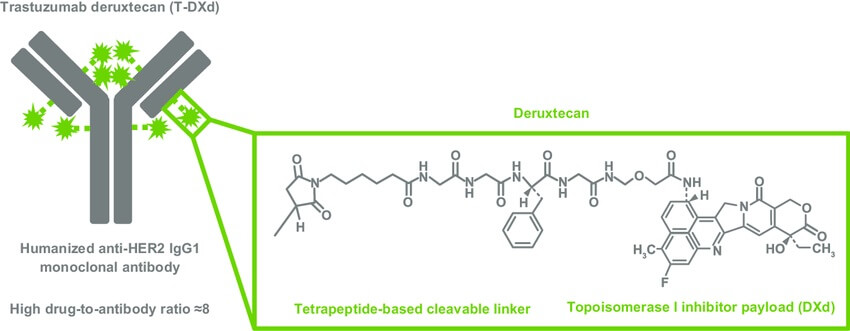 Structure-of-T-DXd