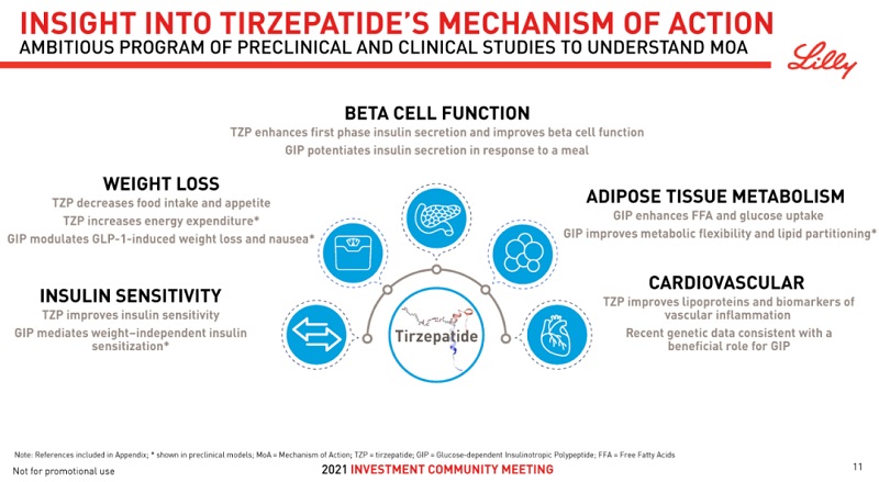 ▲ Mechanism of action of Tirzepatide (source: Lilly website)