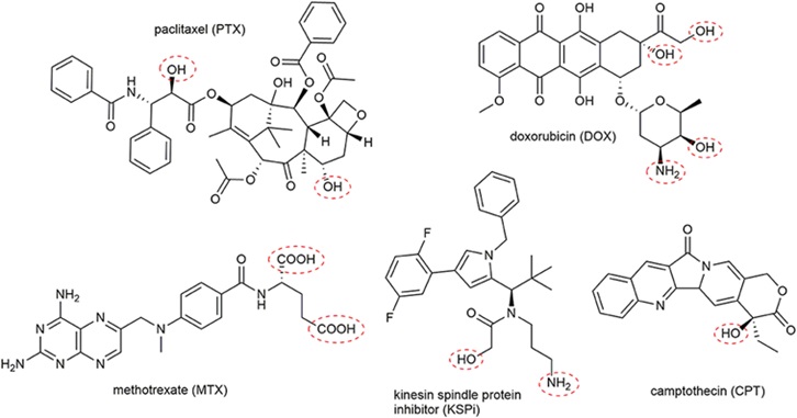 Types of drug loading in PDC