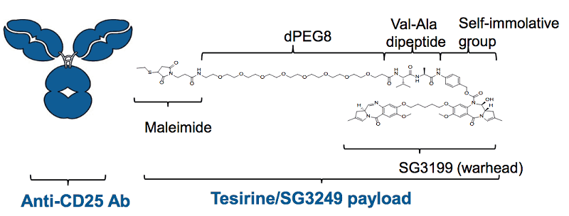Camidanlumab-Tesirine