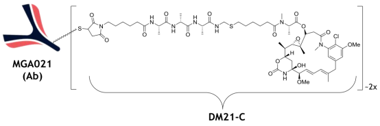 IMGC936