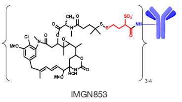 Mirvetuximab-Soravtansine