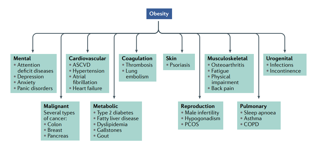 Obesity-related metabolic diseases