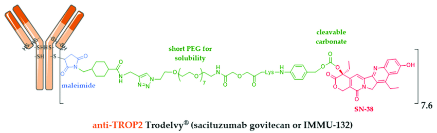 Trodelvy-formula-ADC